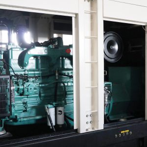 Diesel Generator GMS250CS by Multiphase Power |  3phase generator